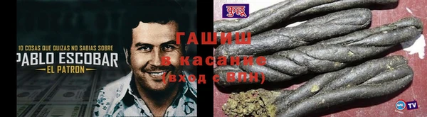 стаф Аркадак