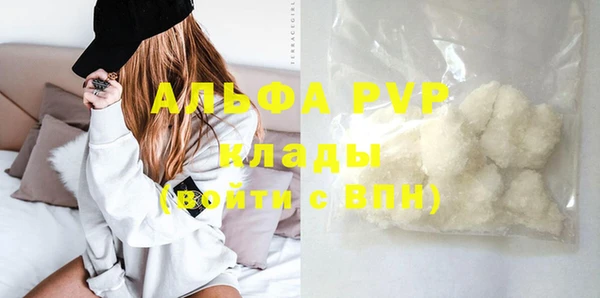 стаф Аркадак