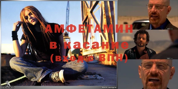 стаф Аркадак